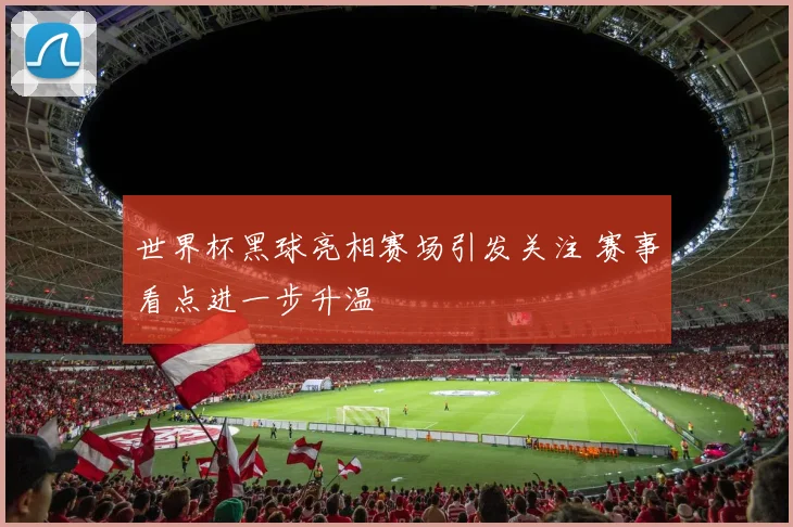 世界杯黑球亮相赛场引发关注 赛事看点进一步升温