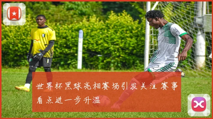 世界杯黑球亮相赛场引发关注 赛事看点进一步升温